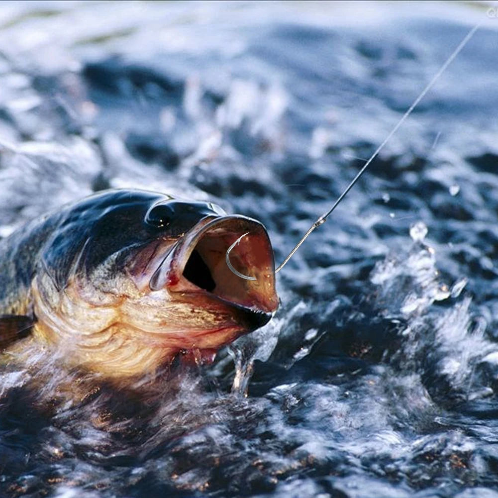 80Pcs Fishing Hooks Stainless Steel Fish Hooks