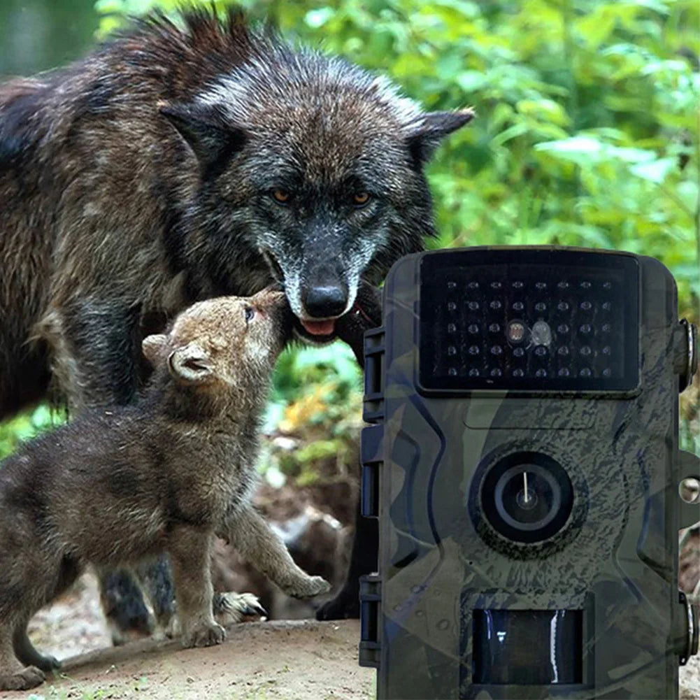 Infrared Night Vision Security Cam Motion Activated Wildlife Camera Animal Observation Camera for Outdoor Wildlife Hunting