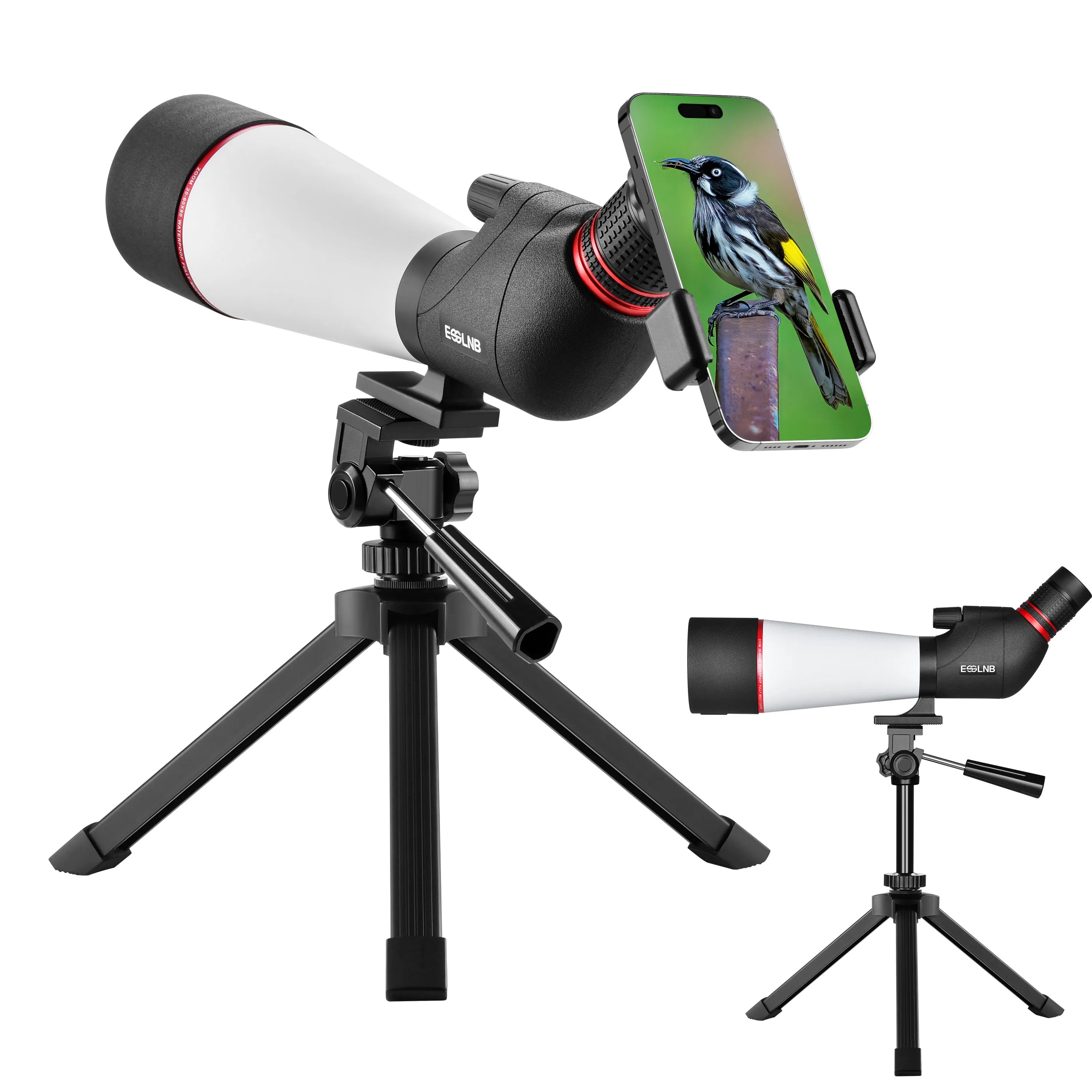 20-60X Zoom Spotting Scope 80mm FMC Lens HD Vision with Adjustable Tripod Mobile Holder Carry Bag for Hunting Bird Watching