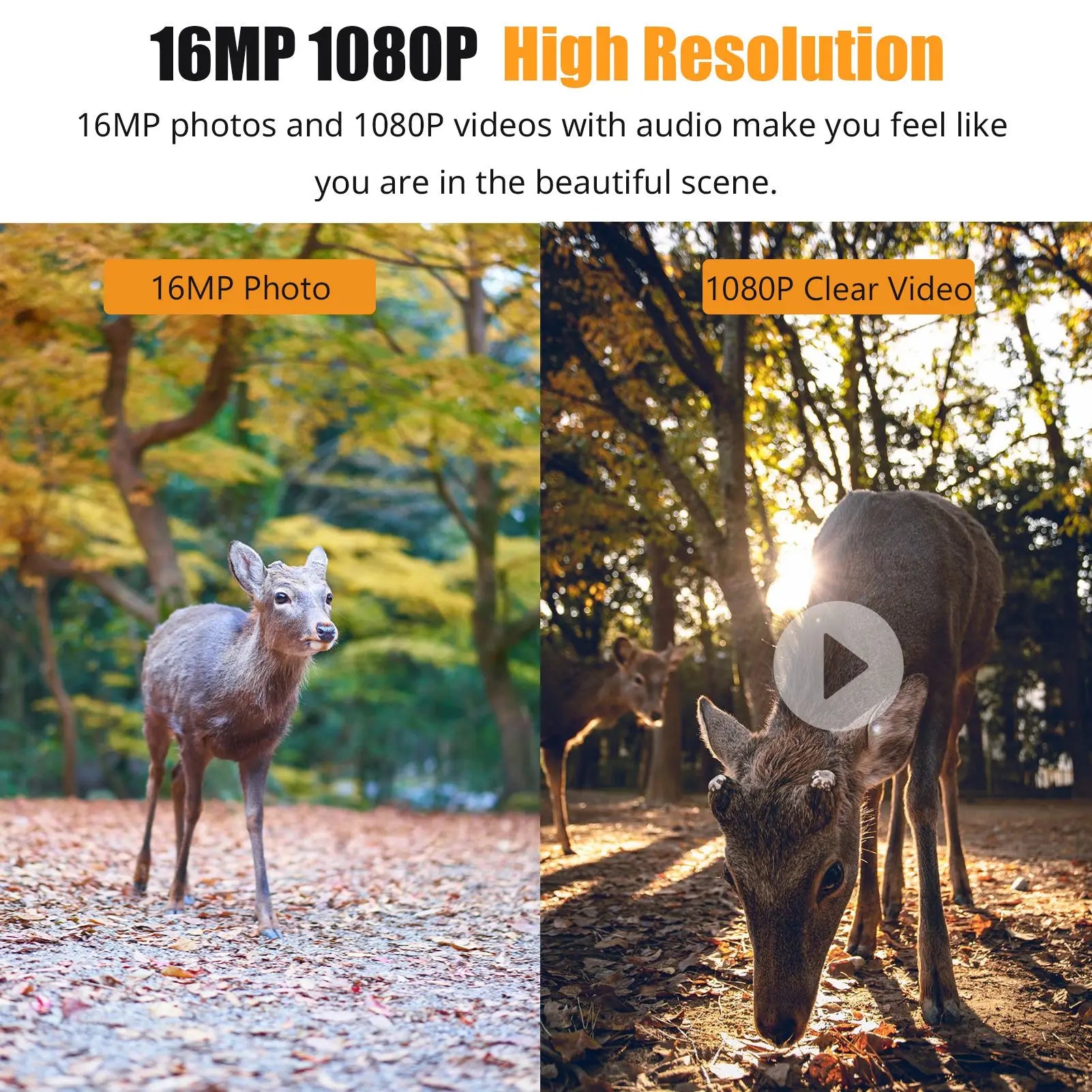 game camera 1080P Hunting Camera 2.0in LCD 16MP Infrared Night Vision Mobile Monitoring IP66 Waterproof Trail Camera
